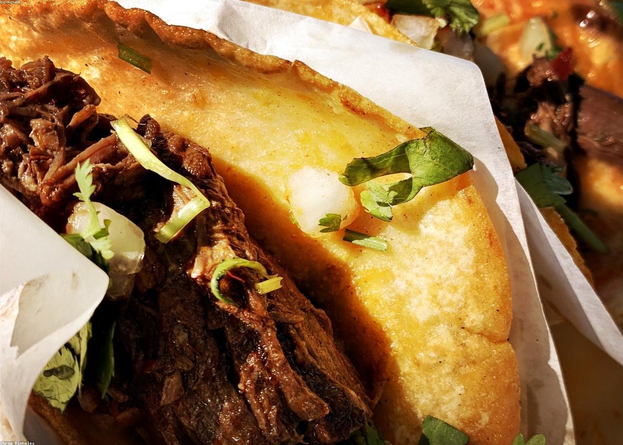 A crispy quesabirria taco with shredded beef, melted cheese and cilantro